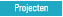 Projecten